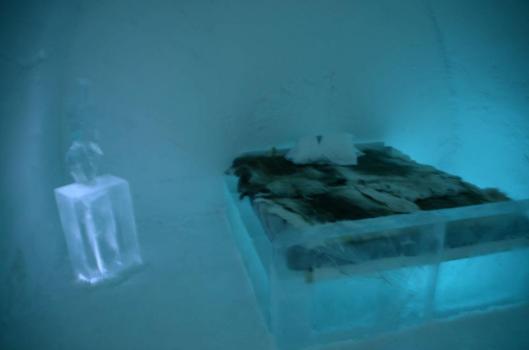 537846_10152420223000038_772810914_n