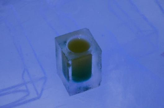 542059_10152420222730038_318819077_n