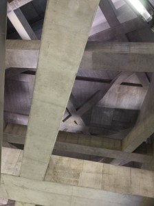 12244261_10156613819090038_8834711165756312133_o